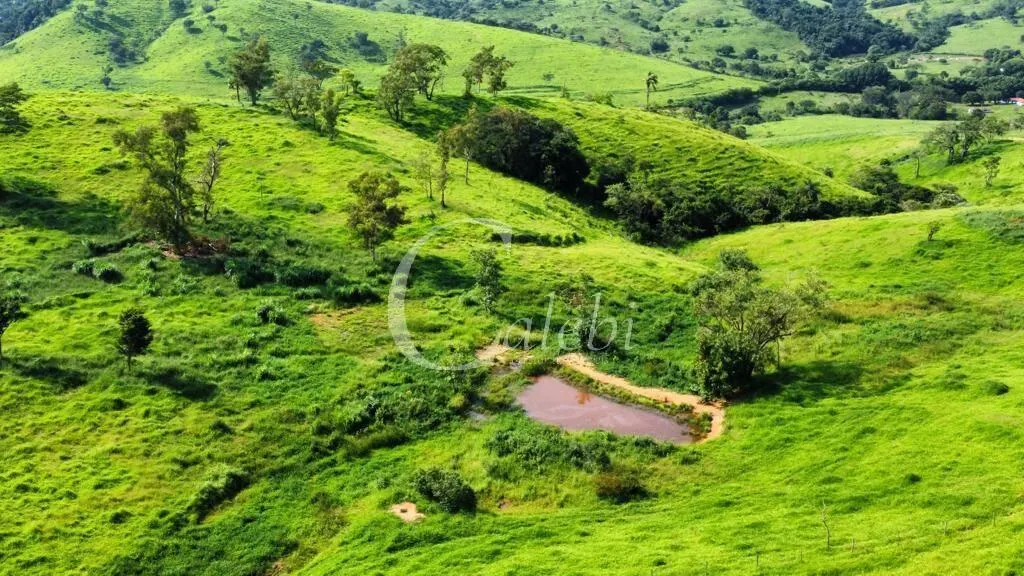 Fazenda à venda de 218 ha em Itapira, SP, Brasil