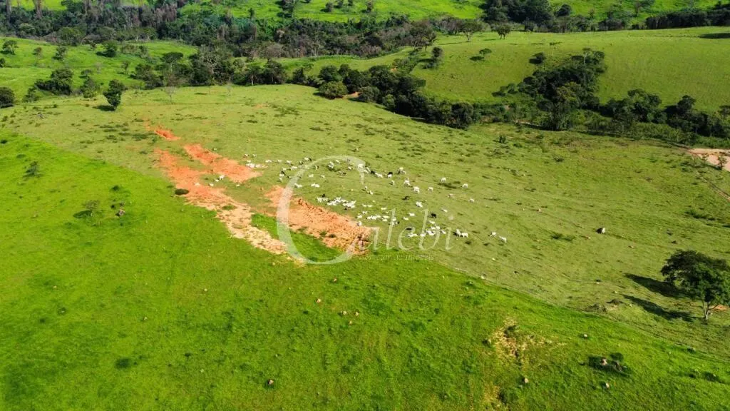 Fazenda à venda de 218 ha em Itapira, SP, Brasil