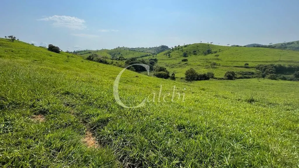 Fazenda à venda de 218 ha em Itapira, SP, Brasil