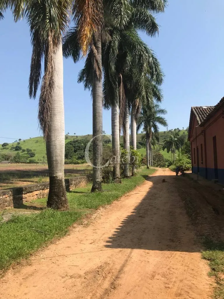 Fazenda à venda de 218 ha em Itapira, SP, Brasil