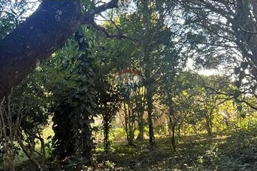 Chácara à venda de 2.000 m² em Araçoiaba da Serra, SP, Brasil