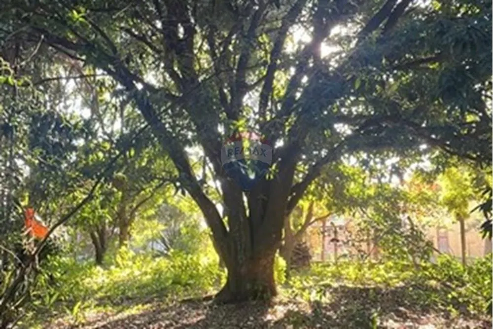 Chácara à venda de 2.000 m² em Araçoiaba da Serra, SP, Brasil