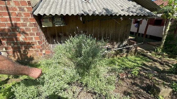 Chácara à venda de 6 ha em Santo Antônio da Patrulha, RS, Brasil