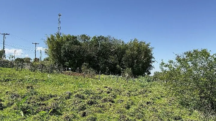 Chácara à venda de 6 ha em Santo Antônio da Patrulha, RS, Brasil