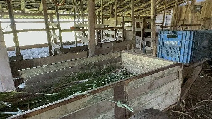 Chácara à venda de 6 ha em Santo Antônio da Patrulha, RS, Brasil