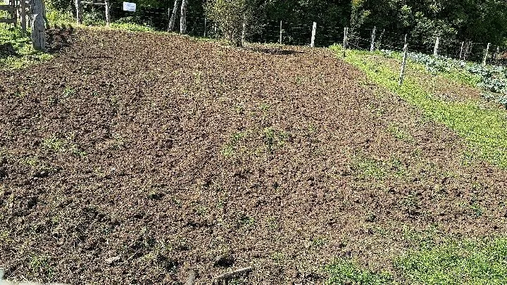 Chácara à venda de 6 ha em Santo Antônio da Patrulha, RS, Brasil