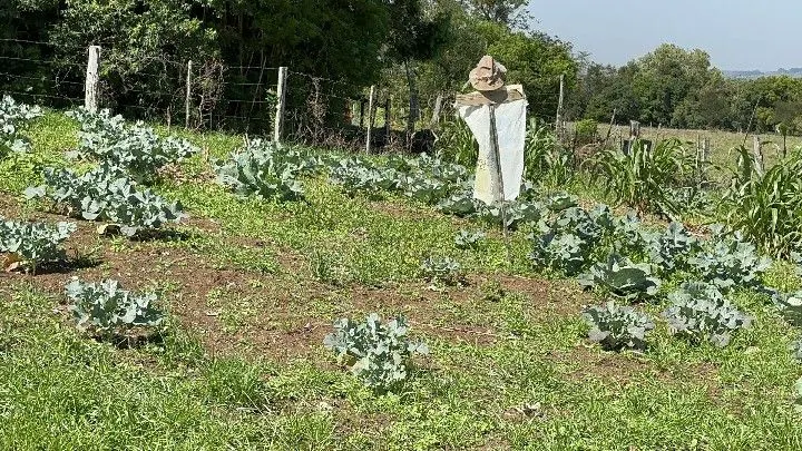 Chácara à venda de 6 ha em Santo Antônio da Patrulha, RS, Brasil