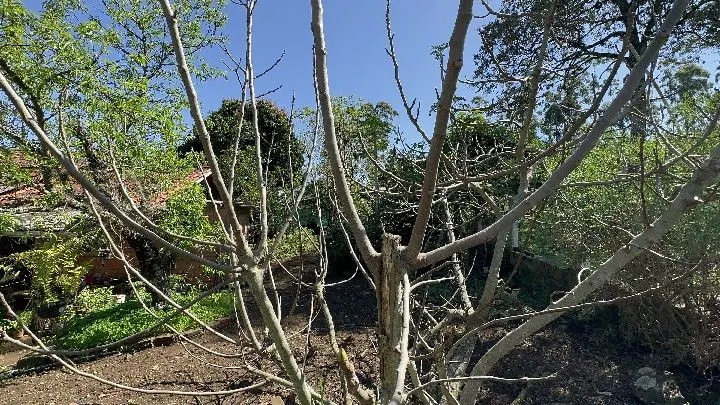 Chácara à venda de 6 ha em Santo Antônio da Patrulha, RS, Brasil