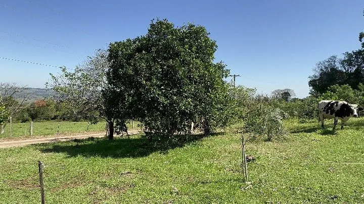 Chácara à venda de 6 ha em Santo Antônio da Patrulha, RS, Brasil