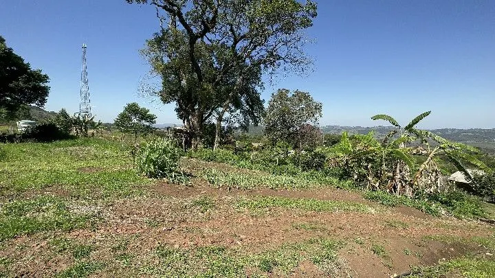 Chácara à venda de 6 ha em Santo Antônio da Patrulha, RS, Brasil