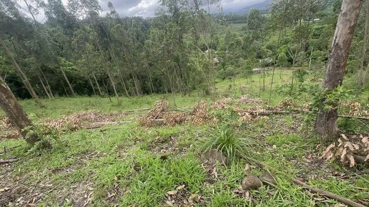 Country home for sale of 14 acres in Caraá, RS, Brazil