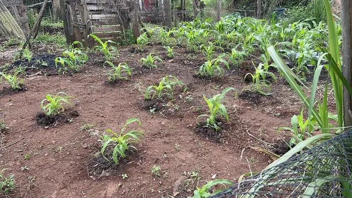 Country home for sale of 14 acres in Caraá, RS, Brazil