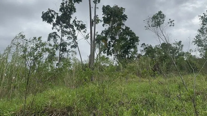 Country home for sale of 14 acres in Caraá, RS, Brazil