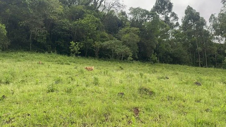 Country home for sale of 14 acres in Caraá, RS, Brazil