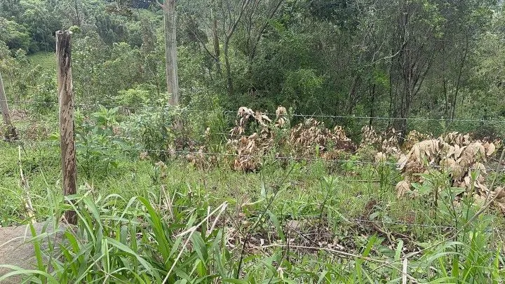 Country home for sale of 14 acres in Caraá, RS, Brazil