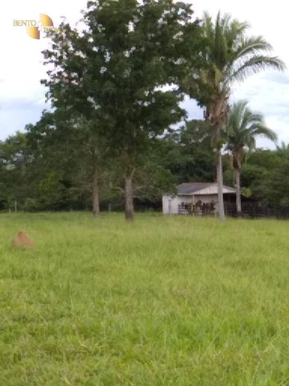 Fazenda à venda de 348 ha em Tangará da Serra, MT, Brasil