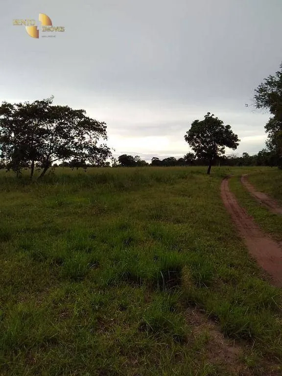 Fazenda à venda de 348 ha em Tangará da Serra, MT, Brasil