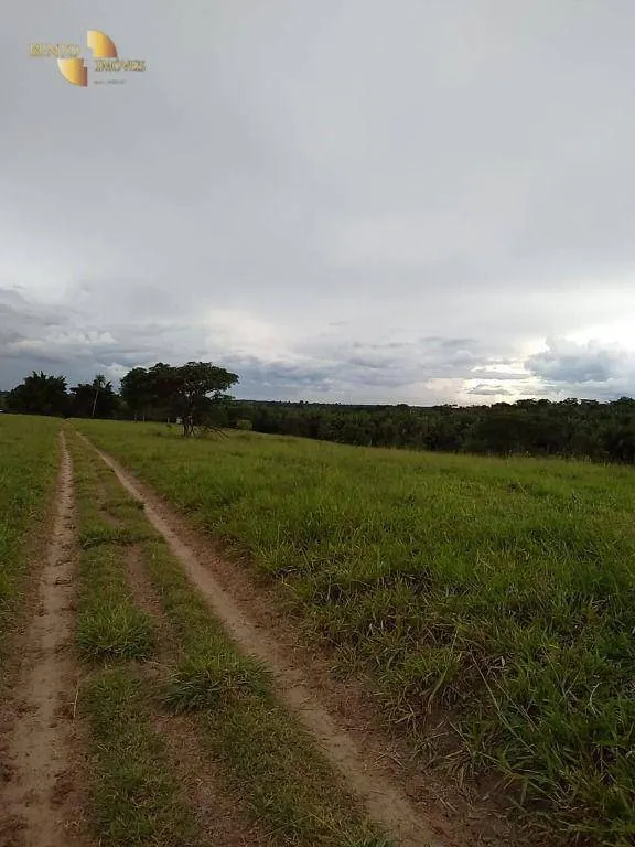 Fazenda à venda de 348 ha em Tangará da Serra, MT, Brasil