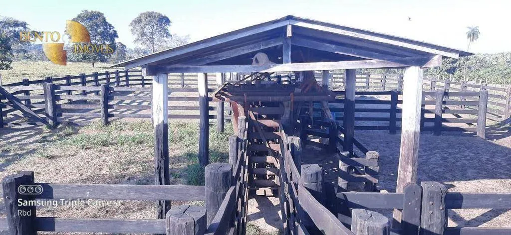 Fazenda à venda de 348 ha em Tangará da Serra, MT, Brasil