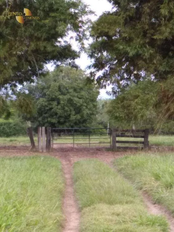 Fazenda à venda de 348 ha em Tangará da Serra, MT, Brasil