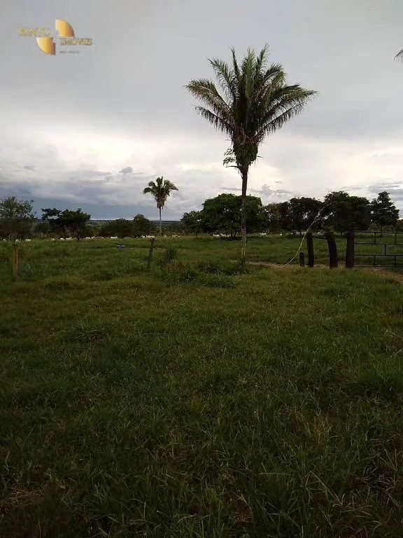 Fazenda à venda de 348 ha em Tangará da Serra, MT, Brasil