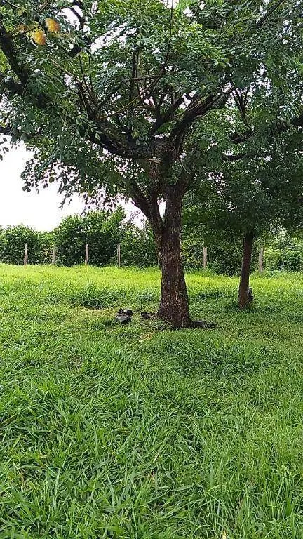 Fazenda à venda de 348 ha em Tangará da Serra, MT, Brasil