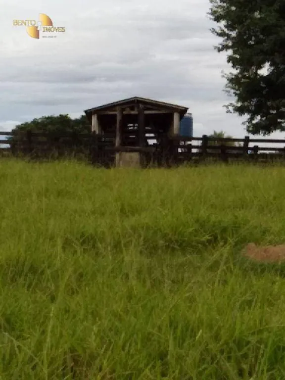 Fazenda à venda de 348 ha em Tangará da Serra, MT, Brasil