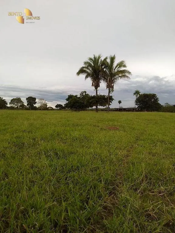 Fazenda à venda de 348 ha em Tangará da Serra, MT, Brasil