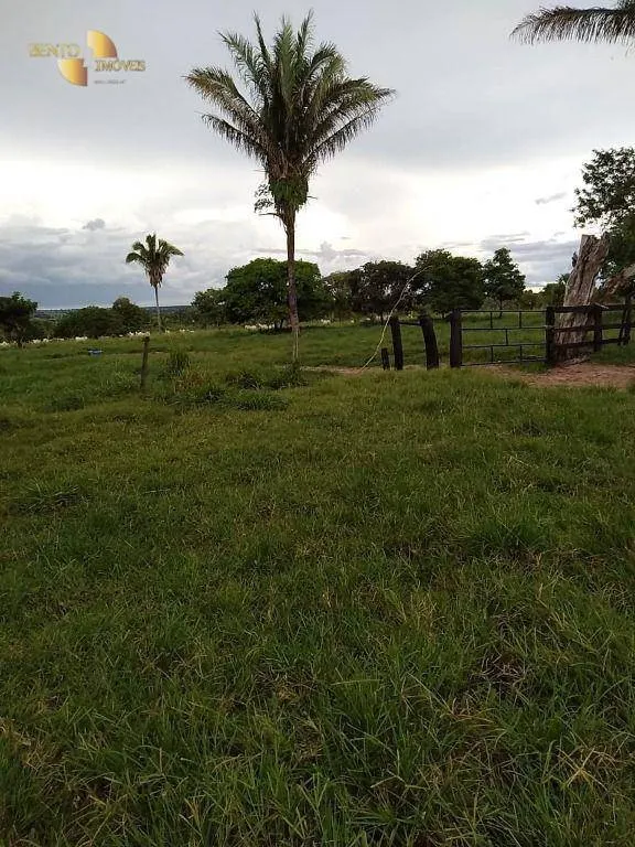 Fazenda à venda de 348 ha em Tangará da Serra, MT, Brasil