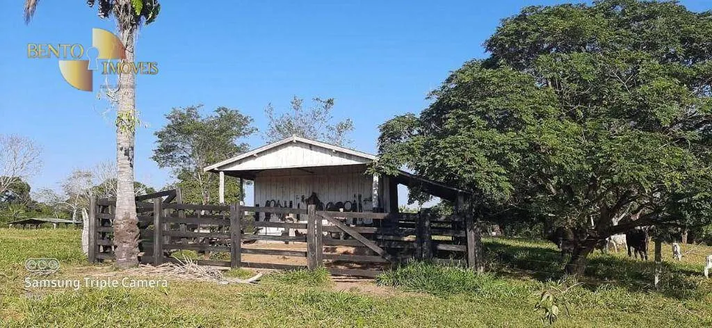 Fazenda à venda de 348 ha em Tangará da Serra, MT, Brasil