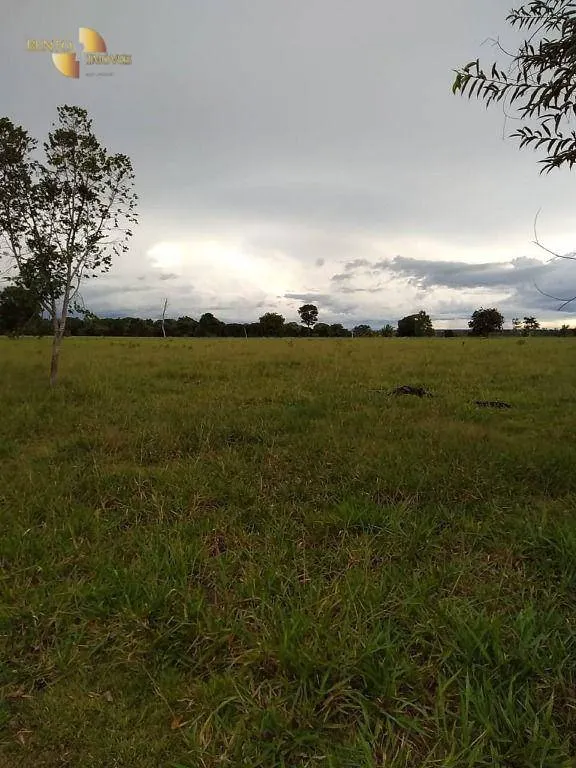 Fazenda à venda de 348 ha em Tangará da Serra, MT, Brasil