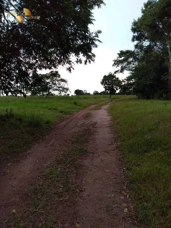 Fazenda à venda de 348 ha em Tangará da Serra, MT, Brasil