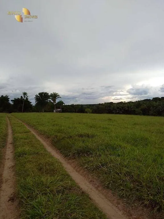 Fazenda à venda de 348 ha em Tangará da Serra, MT, Brasil