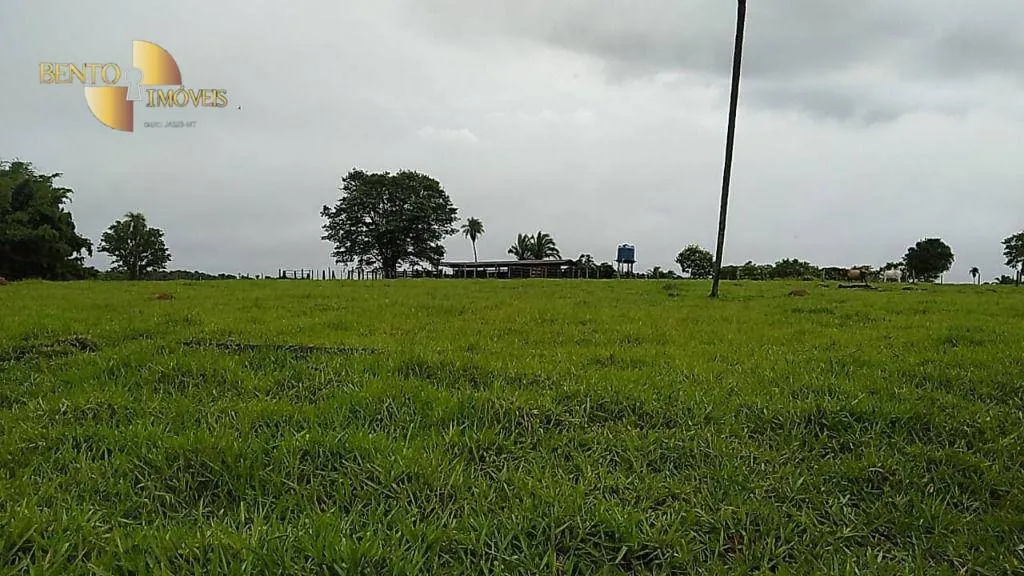 Fazenda à venda de 348 ha em Tangará da Serra, MT, Brasil