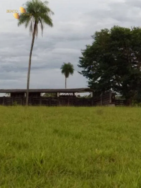 Fazenda à venda de 348 ha em Tangará da Serra, MT, Brasil