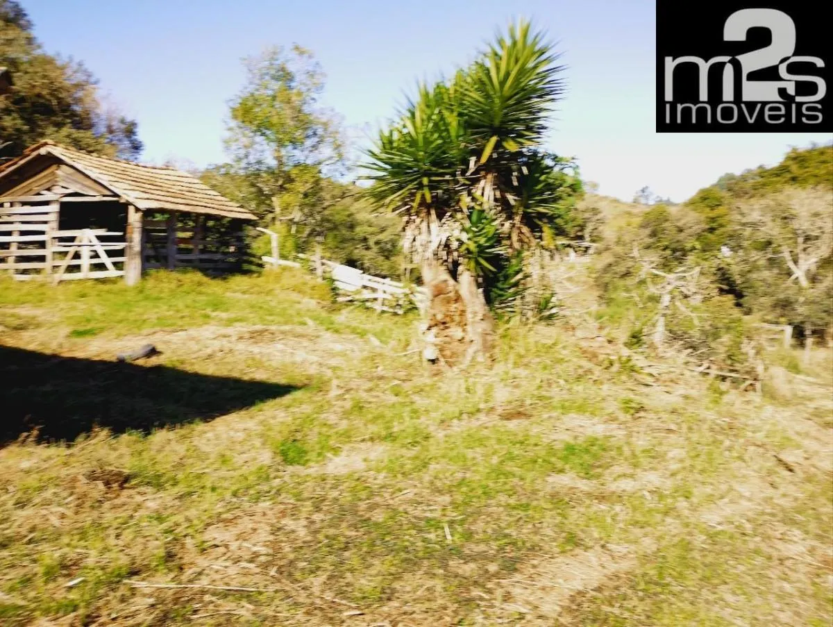 Small farm for sale of 80 acres in Cunha, SP, Brazil