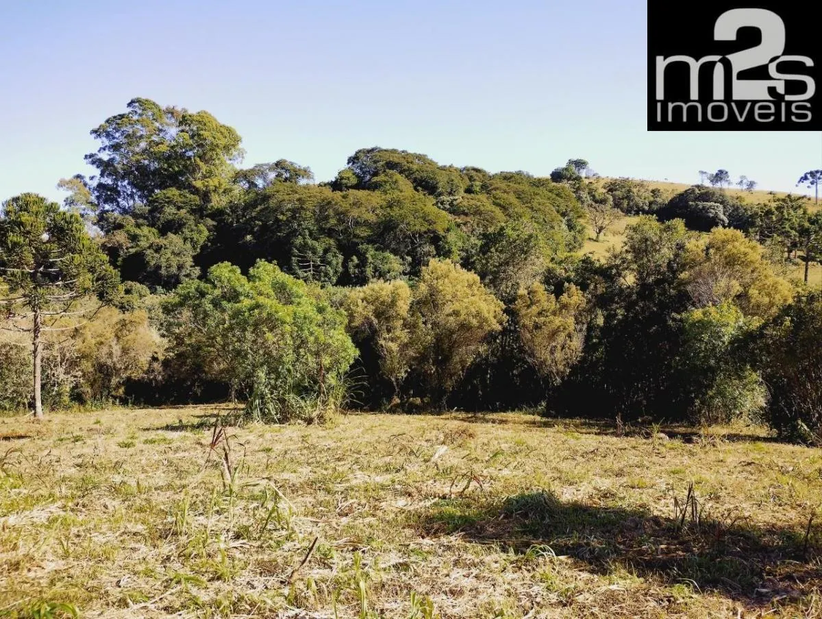 Small farm for sale of 80 acres in Cunha, SP, Brazil