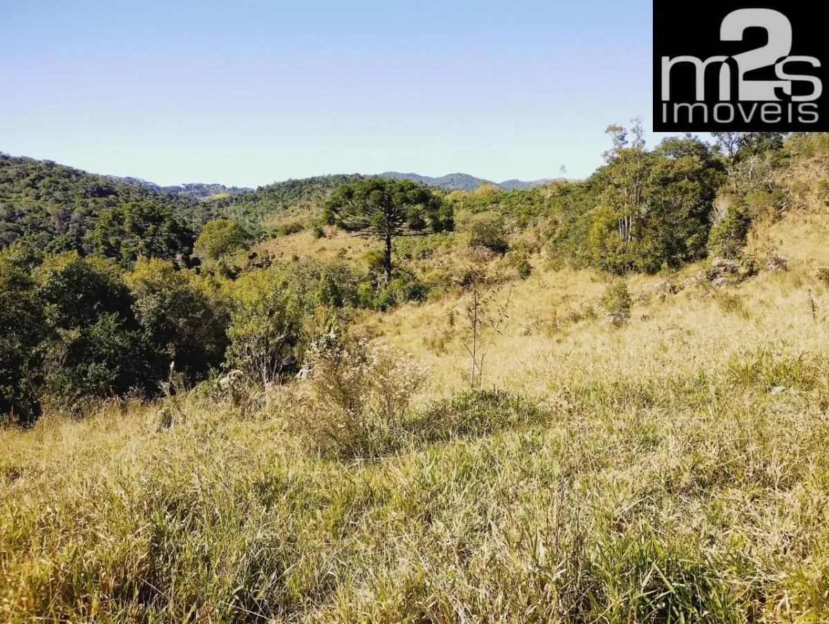 Small farm for sale of 80 acres in Cunha, SP, Brazil