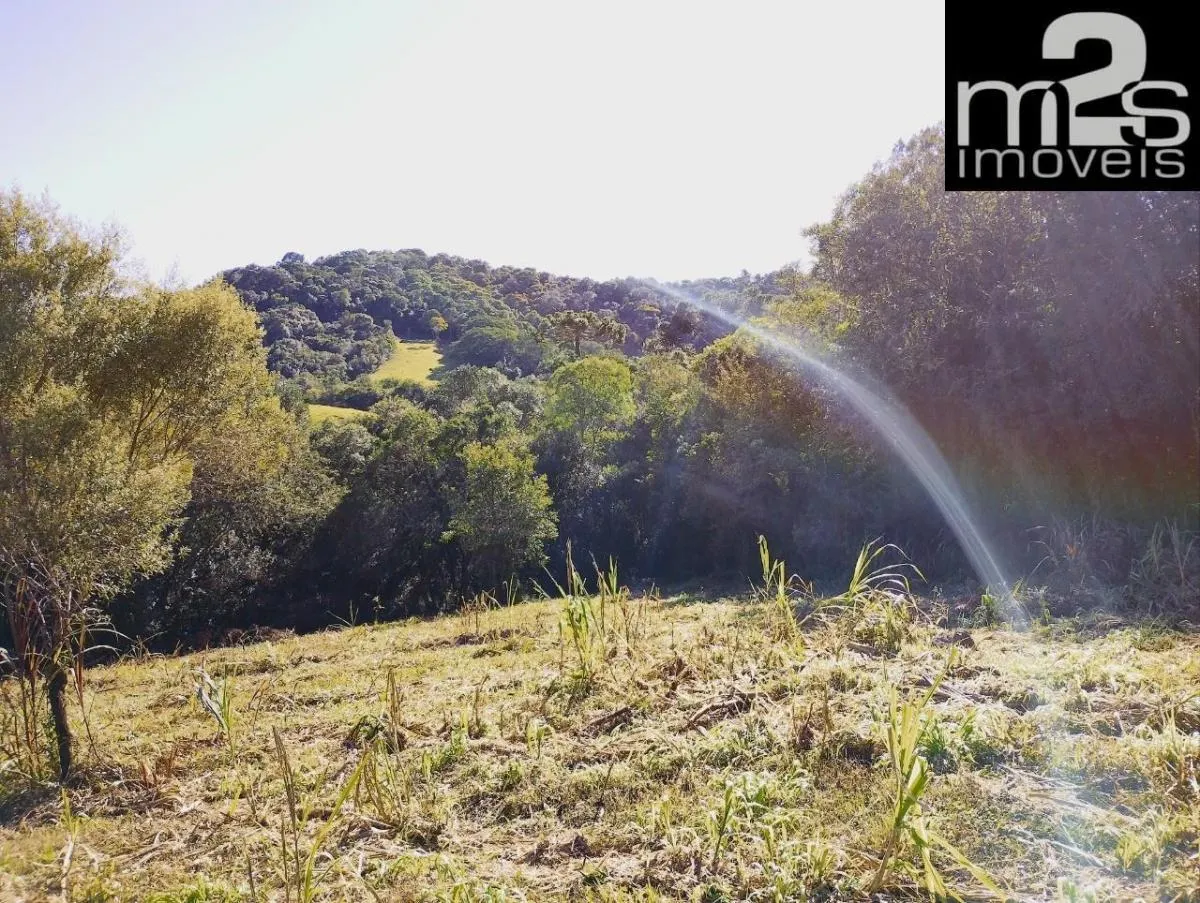 Small farm for sale of 80 acres in Cunha, SP, Brazil