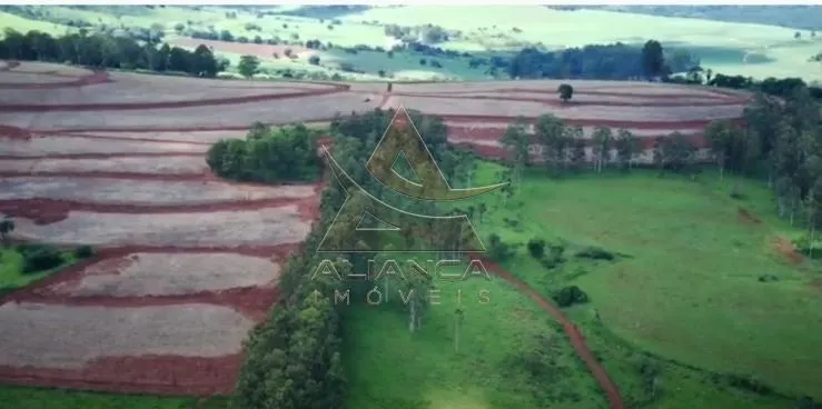 Fazenda à venda de 261 ha em Descalvado, SP, Brasil