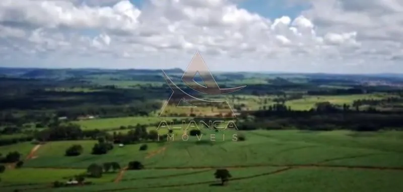 Fazenda à venda de 261 ha em Descalvado, SP, Brasil