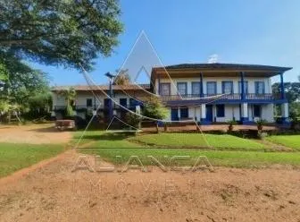 Fazenda à venda de 261 ha em Descalvado, SP, Brasil