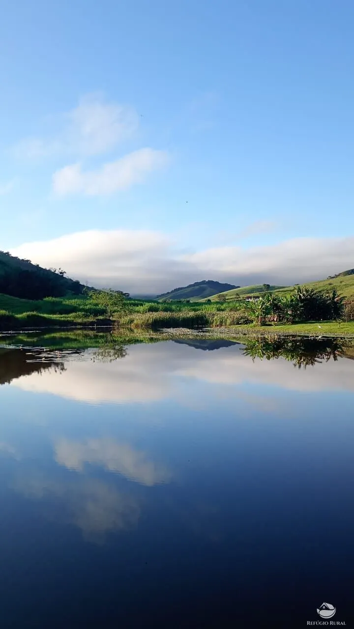 Fazenda à venda de 774 ha em Canas, SP, Brasil