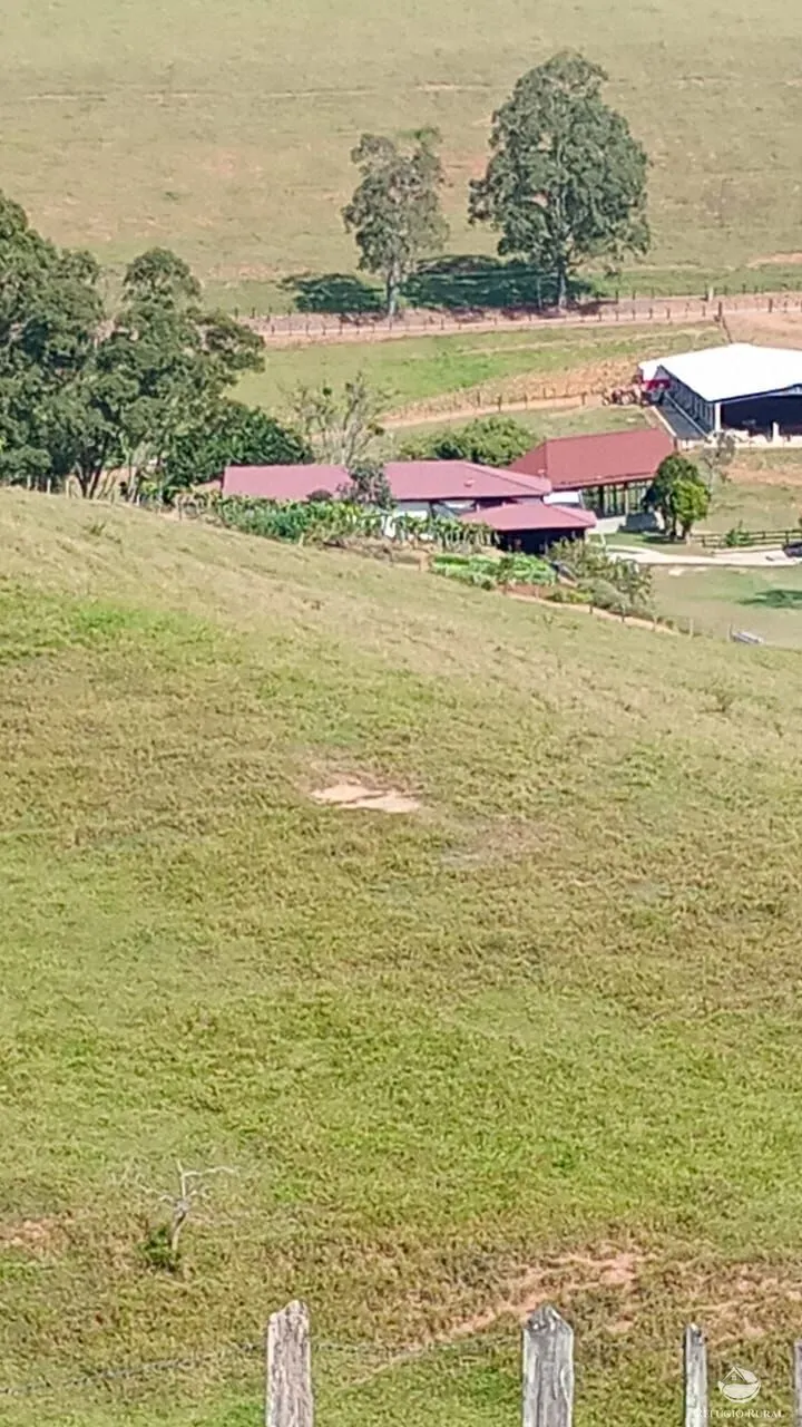 Fazenda à venda de 774 ha em Canas, SP, Brasil