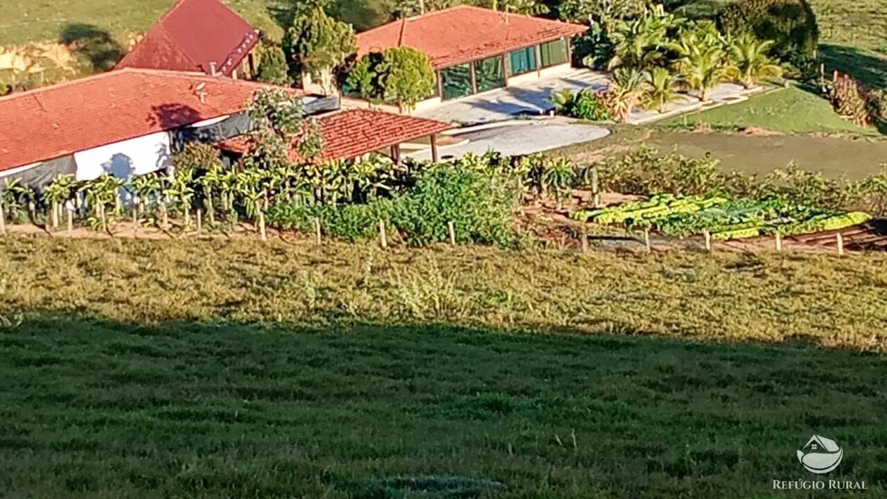 Fazenda à venda de 774 ha em Canas, SP, Brasil