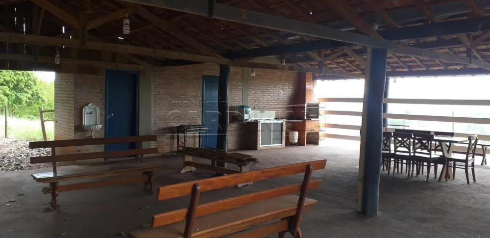 Small farm for sale of 25 acres in Araraquara, SP, Brazil