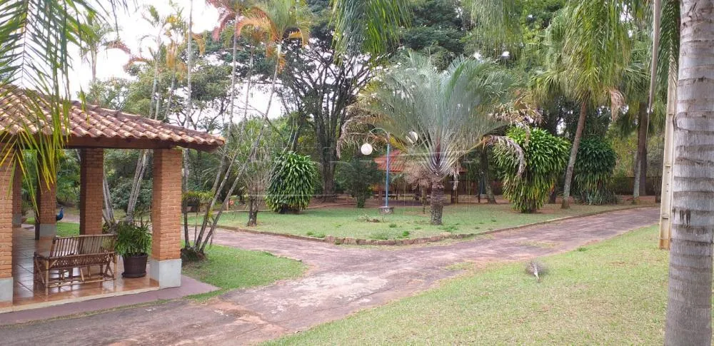 Small farm for sale of 25 acres in Araraquara, SP, Brazil