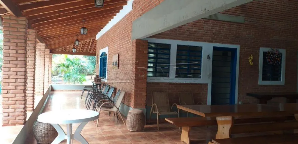 Small farm for sale of 25 acres in Araraquara, SP, Brazil