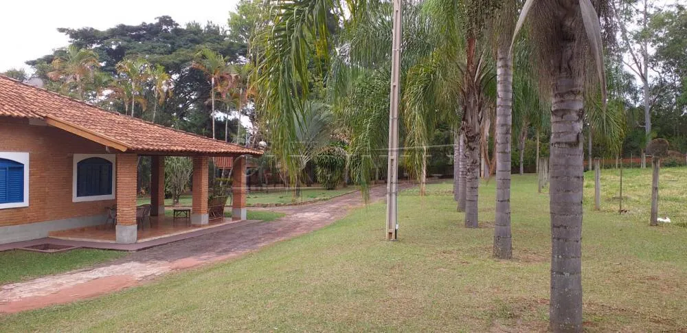 Small farm for sale of 25 acres in Araraquara, SP, Brazil