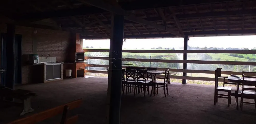 Small farm for sale of 25 acres in Araraquara, SP, Brazil